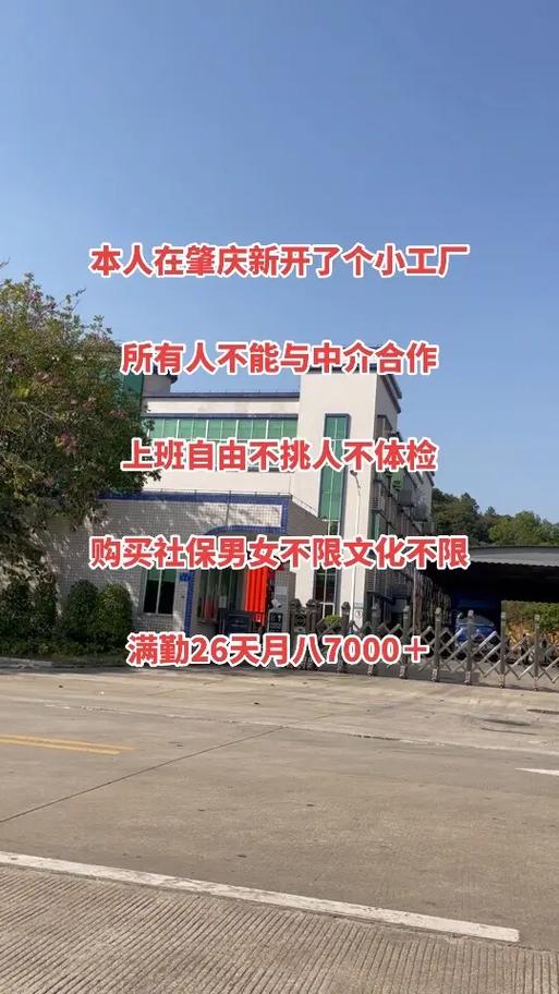 自主管理，自由上班 肇庆新工厂的“反中介”实验与文化经纪人服务