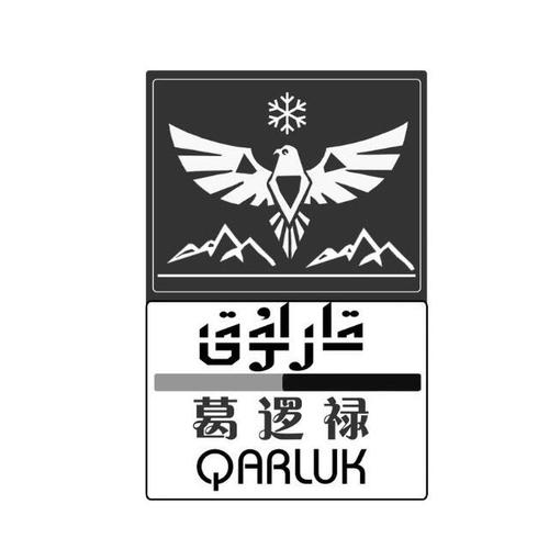 麦麦提艾力·阿斯木的公司经营范围解读 数字文化创意技术与文化经纪人服务的融合之道